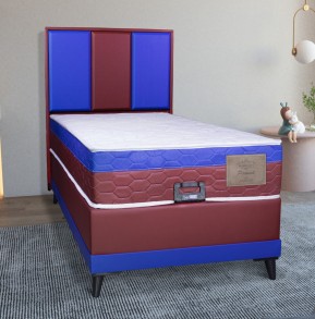 Kaplan Set