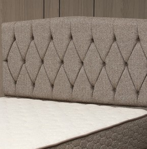 Cotton Başlılk