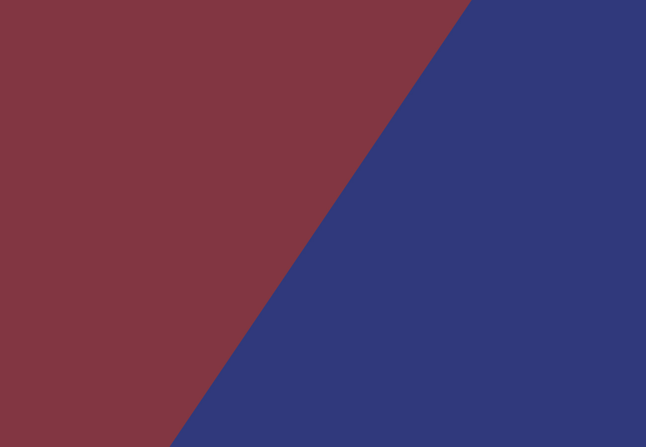 Bordo-Mavi